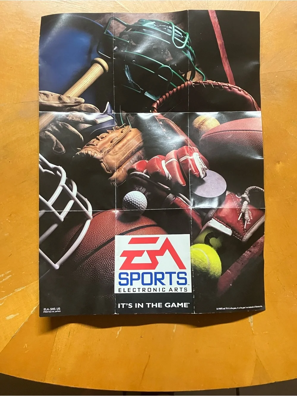 Vintage 1994 EA Sports Championship Lineup Poster Insert